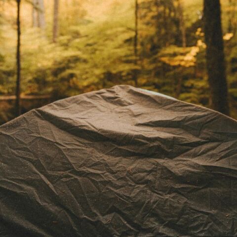 Δύο αλλοδαποί συνελήφθησαν στην Ασπροβάλτα Θεσσαλονίκης για ναρκωτικά, μεταξύ των οποίων κάνναβη και ψυχοδραστικά μανιτάρια - Τα έκρυβαν σε σκηνή κάμπινγκ 