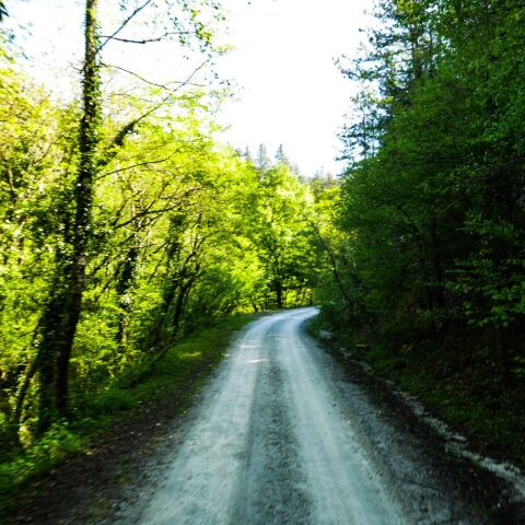 Παρανέστι: Μια διαδρομή και τέσσερις υδάτινοι τόποι