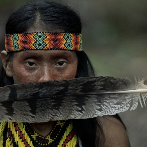 The Land of Forgotten Songs