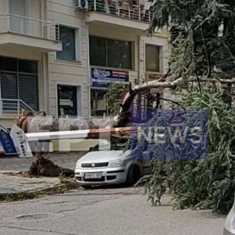 Κακοκαιρία στην Καστοριά: Ζημιές σε καλλιέργειες και αυτοκίνητα - Έπεσαν δέντρα 
