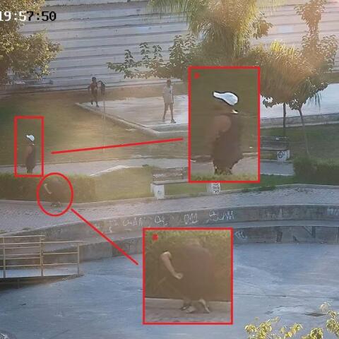 Μαφία της Κρήτης: Στο φως διάλογοι για την πώληση όπλων