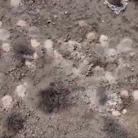 Πάνω από 100 στοίβες αποτεφρωμένων υπολειμμάτων εντοπίστηκαν στην έρημο της Νεβάδα, οδηγώντας σε ομοσπονδιακή έρευνα.