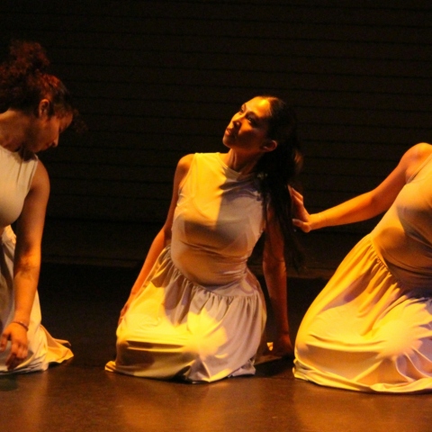 Δραματικές Σχολές