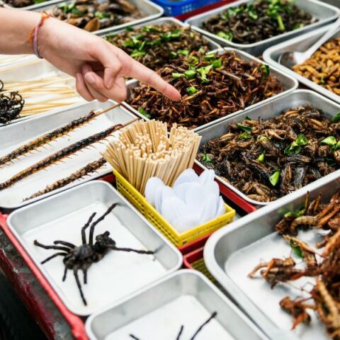 Αυξάνονται οι θεωρίες συνωμοσίας για «παγκόσμιες ελίτ που θα αναγκάσουν τις μάζες να τρώνε έντομα»