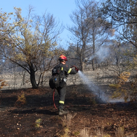 Πυροσβέστης επιχειρεί με μάνικα