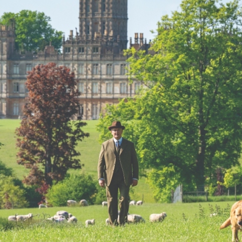 Downton Abbey: The Grand Finale