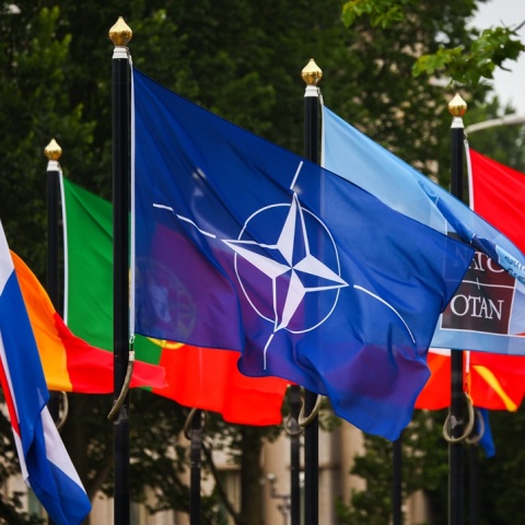 Σημαία του ΝΑΤΟ ανάμεσα στις σημαίες και άλλων χωρών