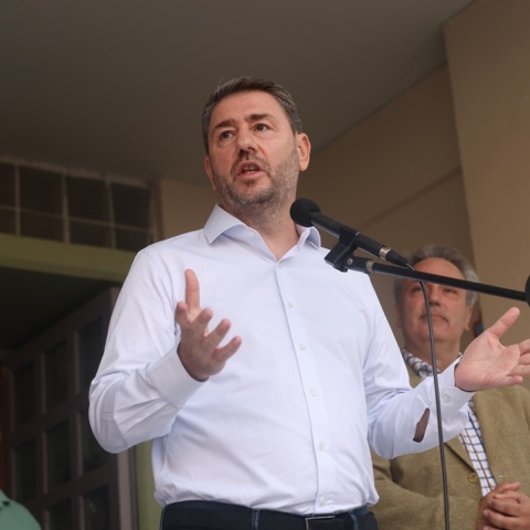 Νίκος Ανδρουλάκης