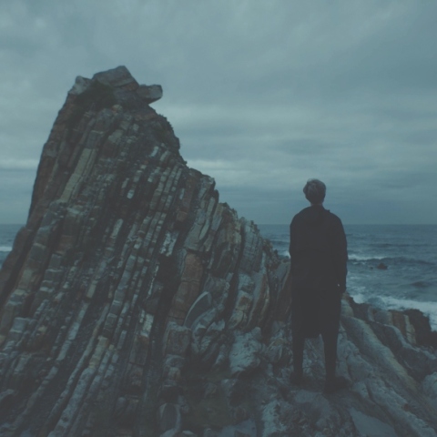 Μαύρη φάλαινα