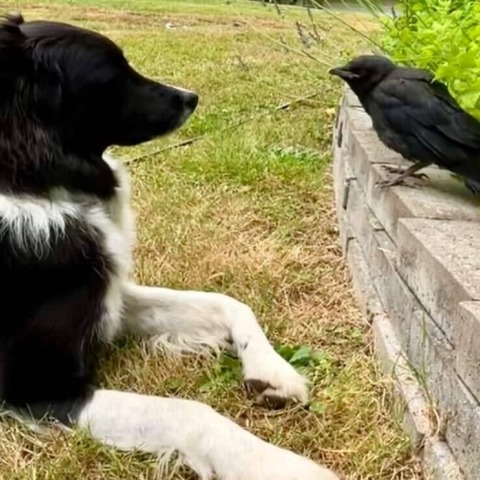 7539ad76059251ac77450eea6cbf6d7de13757d0