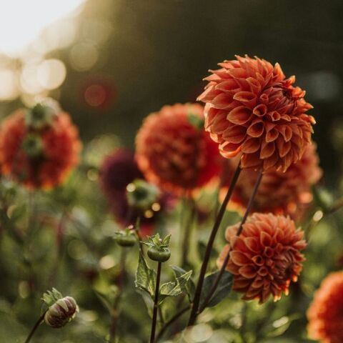 Εορτολόγιο: Σήμερα, 19 Σεπτεμβρίου 2025, γιορτάζει…