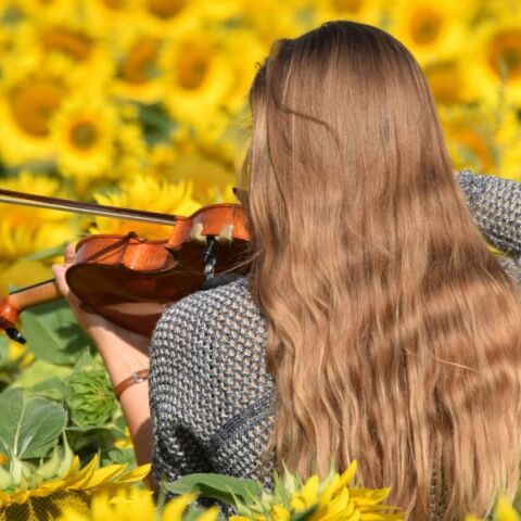 Τριήμερο βιωματικό σεμινάριο στα Καλάβρυτα με τα οφέλη της μουσικοθεραπείας