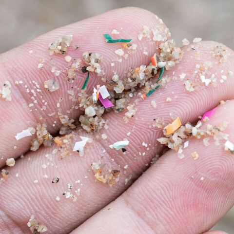 Έρευνα αποκάλυψε ότι χιλιάδες μικροσκοπικά σωματίδια πλαστικού μπορούν να εισέλθουν στις ρίζες των λαχανικών και να φτάσουν στα βρώσιμα μέρη τους.