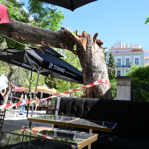 Δύο τραυματίες από την πτώση δέντρου στο κέντρο της Αθήνας