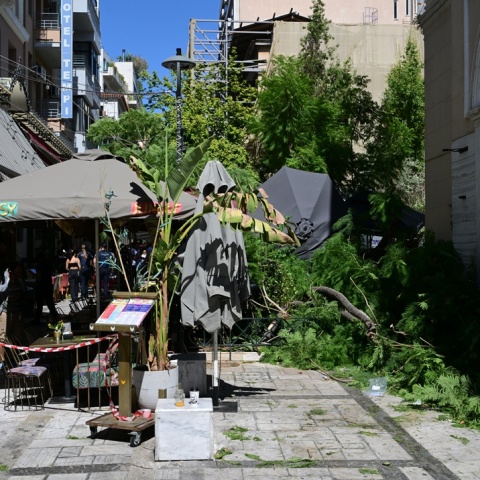 Εικόνες από τη σημείο της πτώσης του δέντρου στο κέντρο της Αθήνας