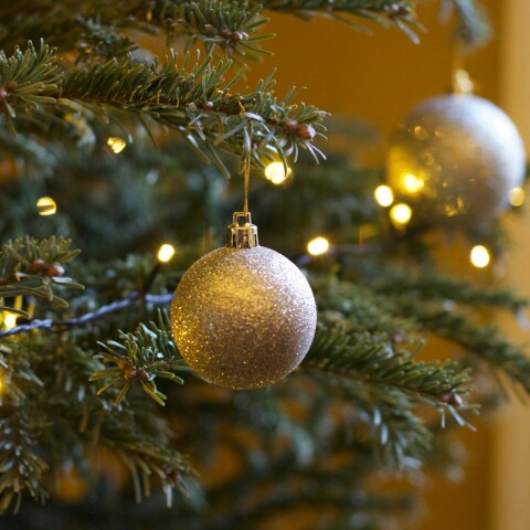 Χριστουγεννιάτικο δέντρο