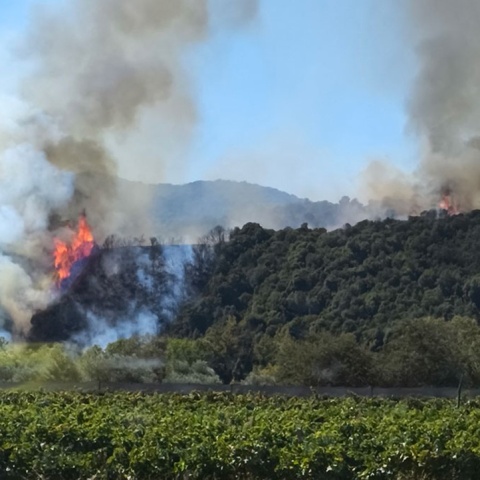 Φωτιά τώρα στο Παγγαίο Καβάλας