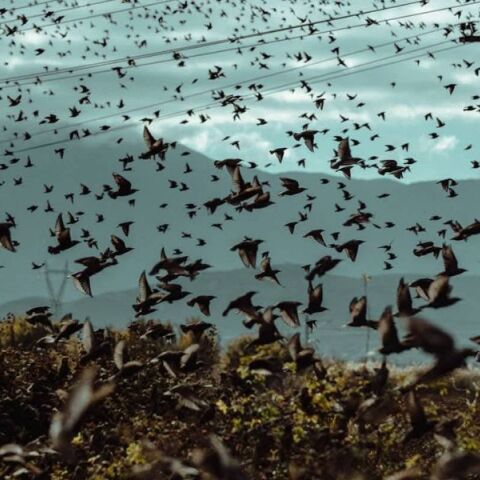 Σεπτέμβριος: Ένας μήνας αφιερωμένος στη λογοτεχνία