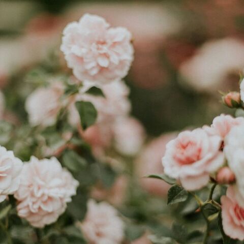 Εορτολόγιο: Σήμερα 23 Σεπτεμβρίου 2025 γιορτάζει…