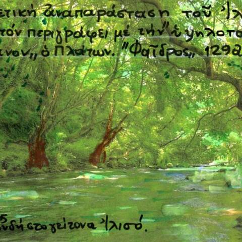 Ο πλάτανος του Πλάτωνα στον Ιλισό