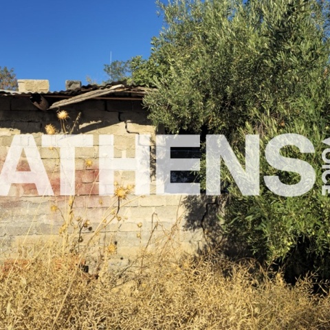 Ο στάβλος στον οποίο η 62χρονη είχε θάψει τη μητέρα της