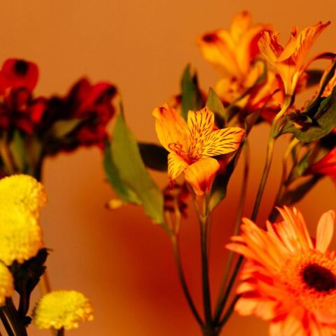 Ποιοι γιορτάζουν σήμερα 26 Σεπτεμβρίου 2025; Το εορτολόγιο της Athens Voice σου τους θυμίζει. Μην ξεχάσεις να τους δώσεις τις καλύτερες ευχές σου!