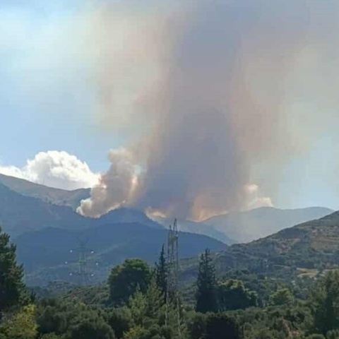 Φωτιά τώρα στην Αχαΐα - Eπιχειρούν εναέρια μέσα