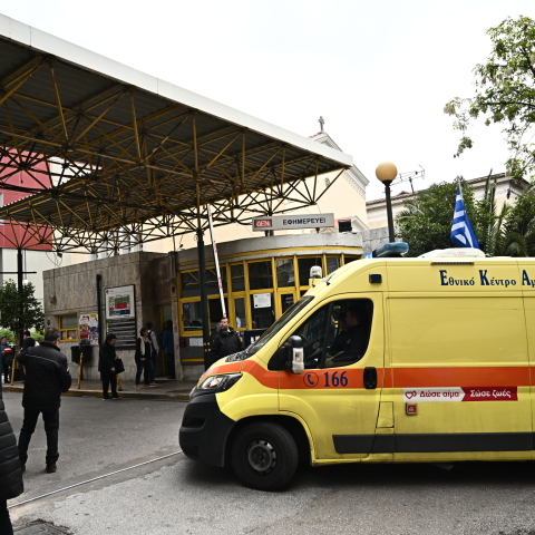 Είναι δυνητικά θανατηφόρα τα τσιμπήματα εντόμων;