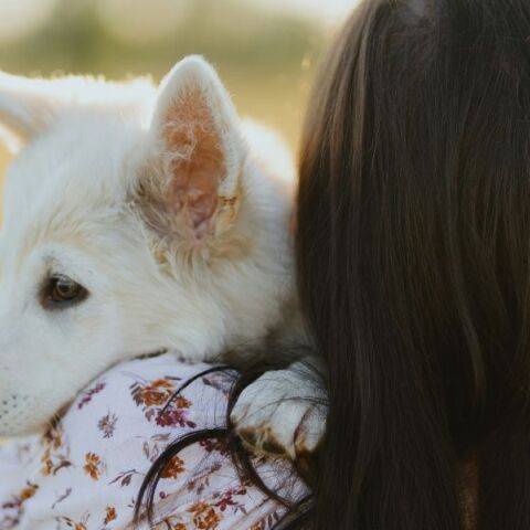 Σωματείο «Αντιμετώπιση Παιδικού Τραύματος»: Οδηγίες για την πρόληψη των παιδικών ατυχημάτων από ζώα - Πληροφορίες για την άμεση και σωστή αντιμετώπιση