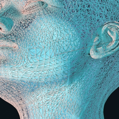 Ανακαλύφθηκαν νέα όργανα στο ανθρώπινο σώμα; Μύθοι και αλήθειες