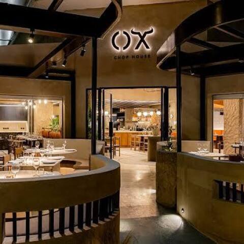 photo_5967329997041551671_x