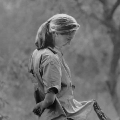 Τζέιν Γκούντολ: Η ζωή της γυναίκας που αγάπησε και μελέτησε τους χιμπαντζήδες