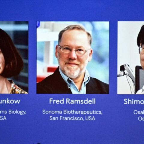 Η επιτροπή Νόμπελ δεν μπορεί να εντοπίσει τον Φρεντ Ράμσντελ, νικητή του Νόμπελ Ιατρικής, που κάνει πεζοπορία και αγνοεί τη βράβευσή του.