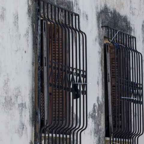 Γιατί τα θηρία δεν είναι στα κλουβιά;