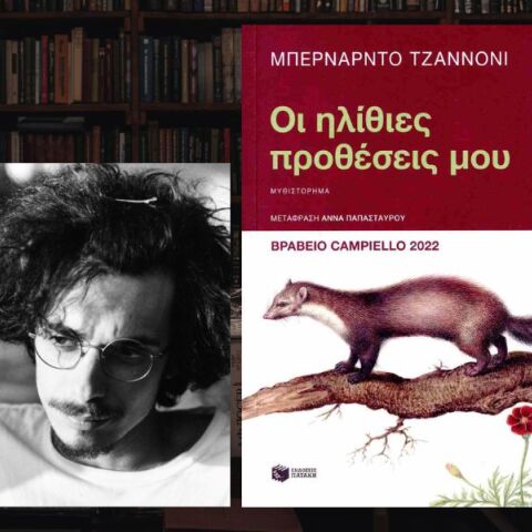 Οι ηλίθιες προθέσεις μου: Το πρώτο μυθιστόρημα του Μπερνάρντο Τζαννόνι