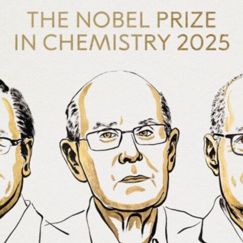 Στους Richard Robson, Omar Yaghi, και Susumu Kitagawa το Νόμπελ Χημείας