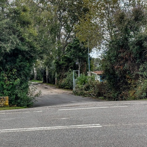 Μεσσηνία: Το παράτολμο σχέδιο διαφυγής του δράστη στη Φοινικούντα - Όσα έχουν στα χέρια τους οι αρχές