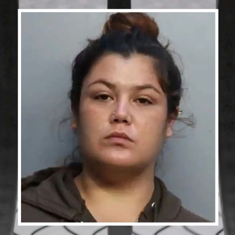 Γυναίκα στη Φλόριντα έμεινε έγκυος στη φυλακή με σπέρμα που πέρασε μέσω αεραγωγών από συγκρατούμενο, ενώ βρισκόταν σε απομόνωση.