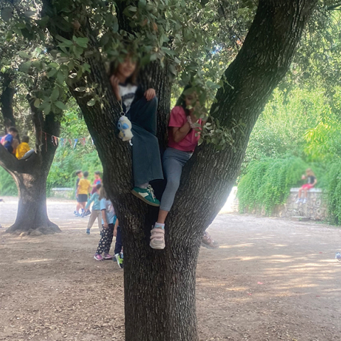 Σε βλέπω σκαρφαλωμένη πάνω στο δέντρο