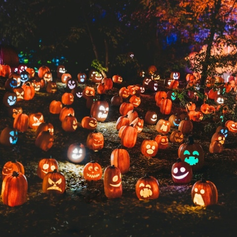 Κολοκύθες κομμένες και με φως μέσα τους