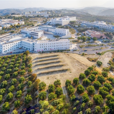 Πανεπιστήμιο Κρήτης