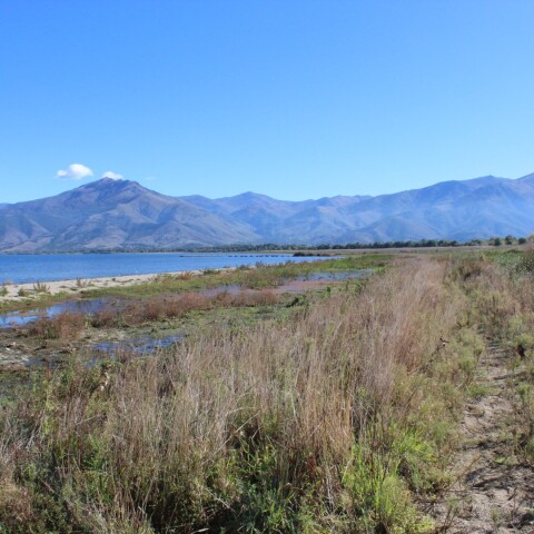 020_beach_expansion_lake_fall-gr