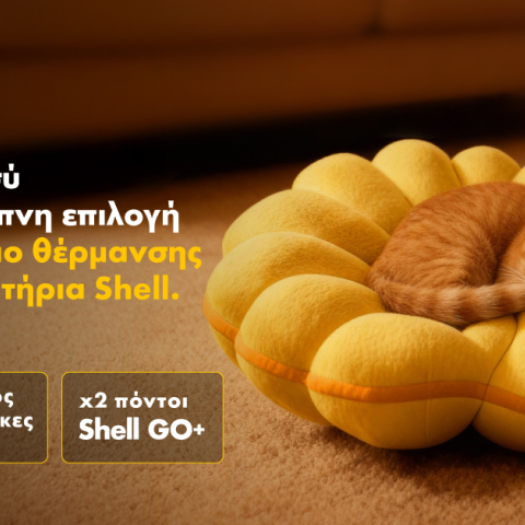 shell_πετρελαιο_θερμανσης__2_