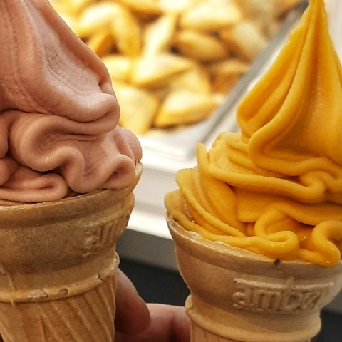 Τι υπάρχει στο εσωτερικό των μηχανημάτων που σερβίρουν μαλακό παγωτό μηχανής; 