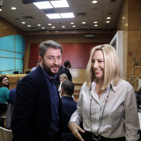 Νίκος Ανδρουλάκης και Φώφη Γεννηματά 