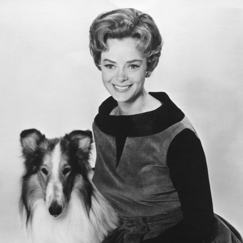 Τζουν Λόκχαρτ