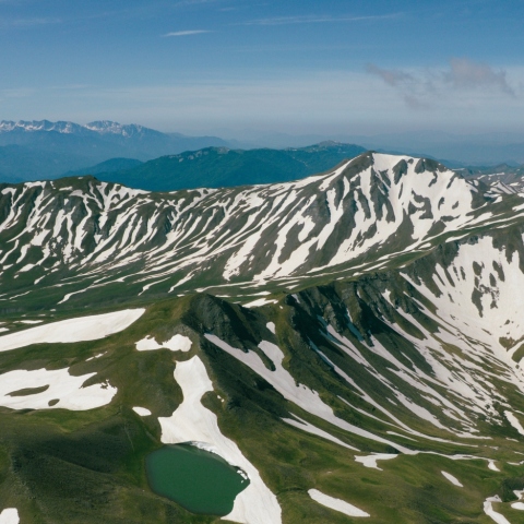 ΝΕΡΑ ΠΗΓΩΝ ΓΡΑΜΜΟΥ