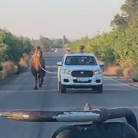 athensvoice_-_2025-10-30t165611_419