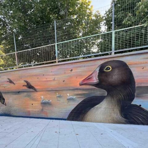 Αλεξανδρούπολη: Οι Νανόχηνες «προσγειώθηκαν» στα σχολεία της πόλης