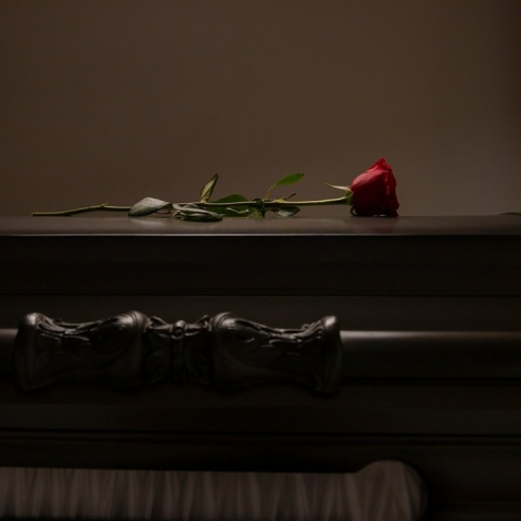 Λουλούδι πάνω σε φέρετρο